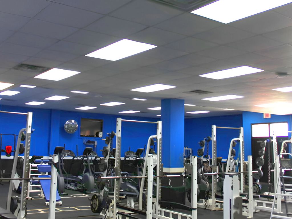 Professional Lighting Installation