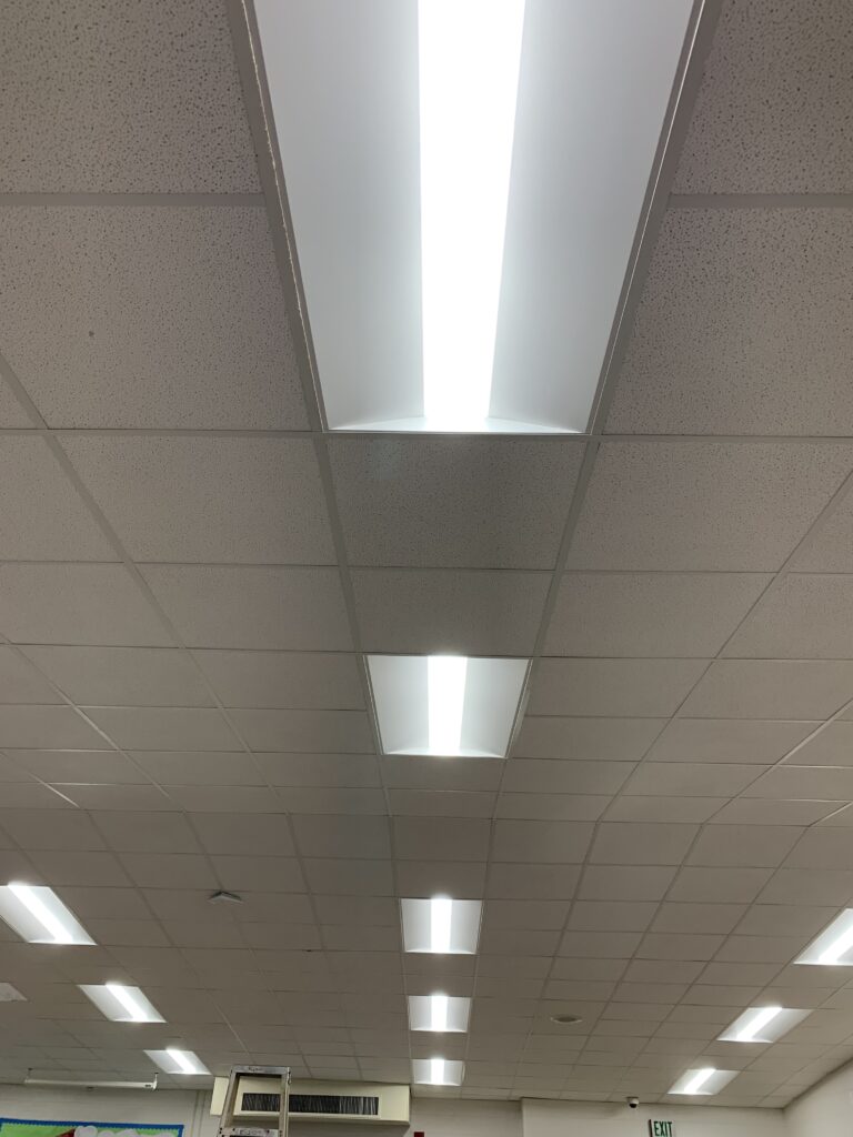 LED Center Basket fixtures installed in office space